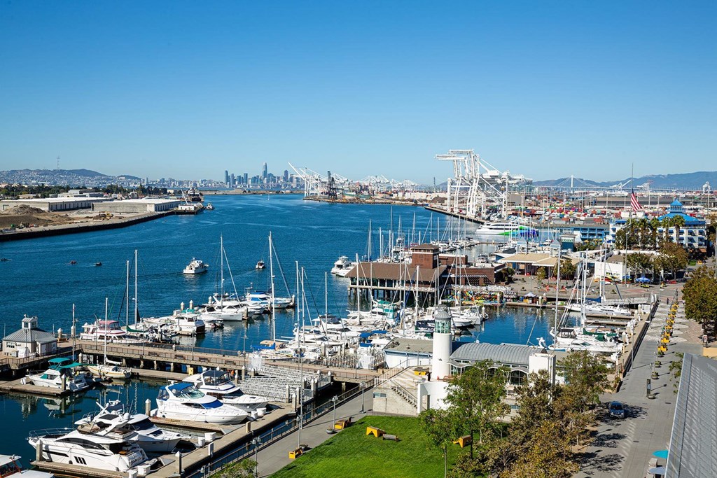 A marina with boats and a city skyline in the background.at Channel House, Oakland, CA 94607