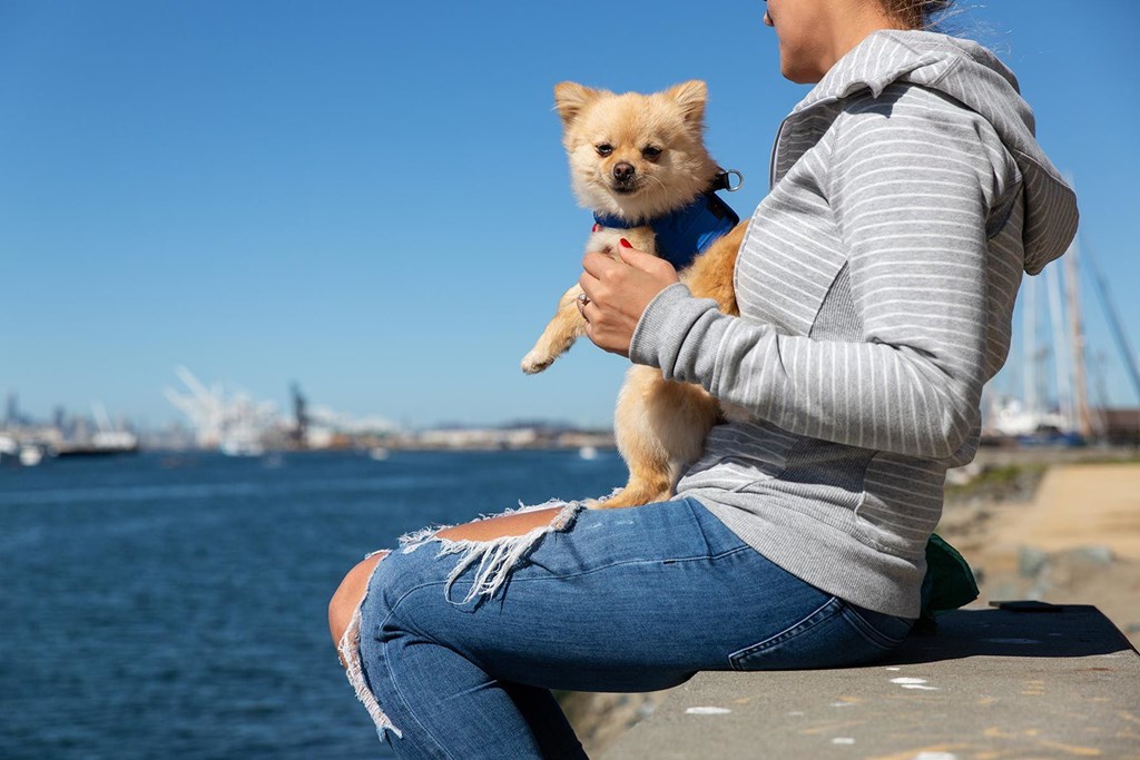 A woman is sitting on a bench holding a small dog.at Channel House, Oakland