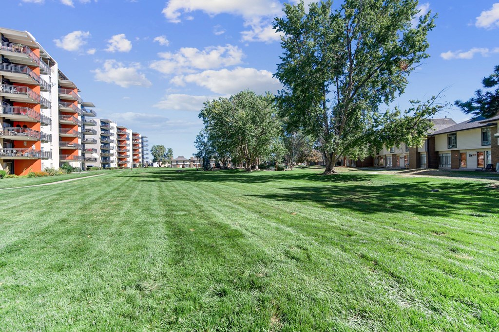 A grassy field with a tree and apartment buildings in the background. at The Lex At Lowry, Colorado