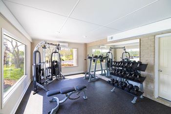 A well lit home gym with a bench, weights and exercise equipment.