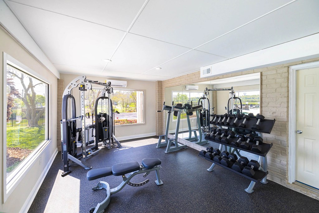 A well lit home gym with a bench, weights and exercise equipment.