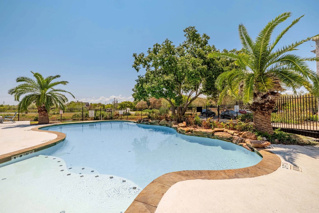 A large outdoor swimming pool surrounded by palm trees and a fence.