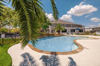 A palm tree is in the foreground of a swimming pool.