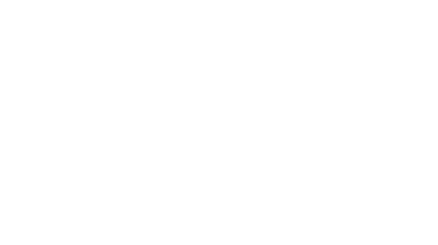 The logo for The Park at Aviano Apartment Homes.