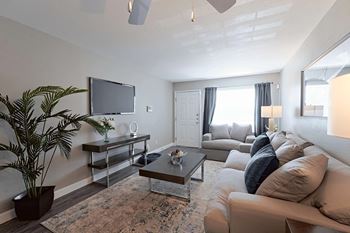 A living room with a couch, a television, and a potted plant.