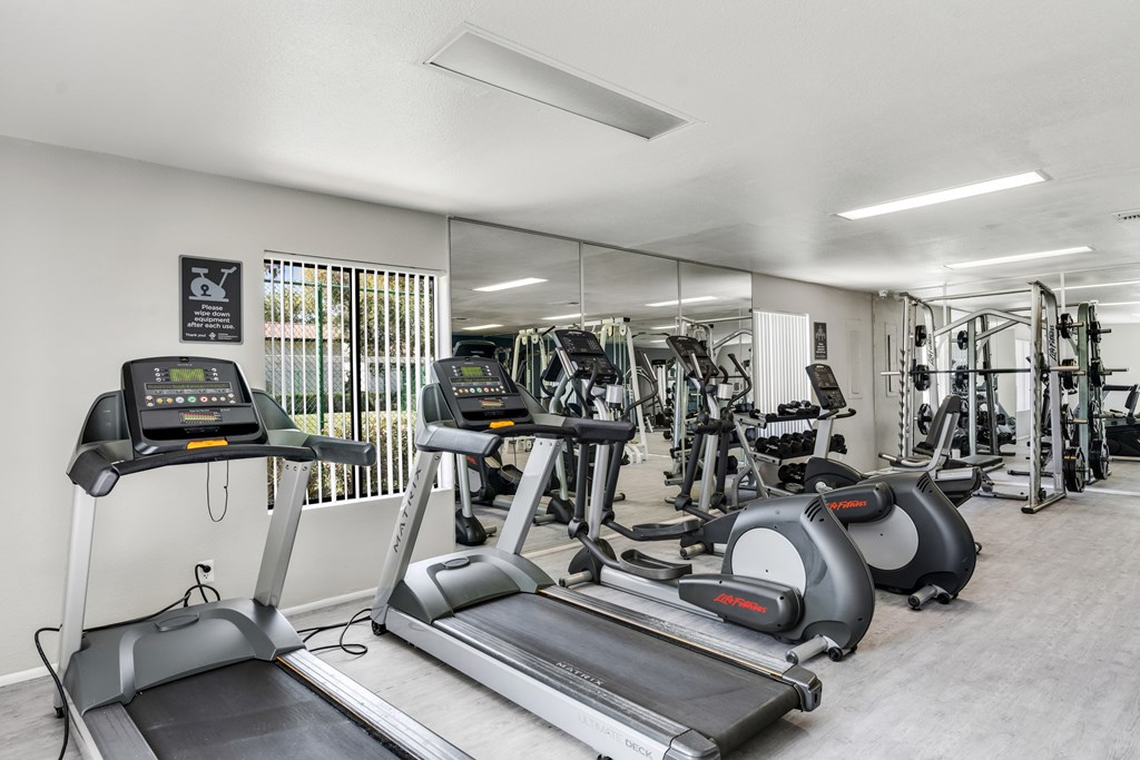 Cardio Machines at Solara, Arizona, 85033