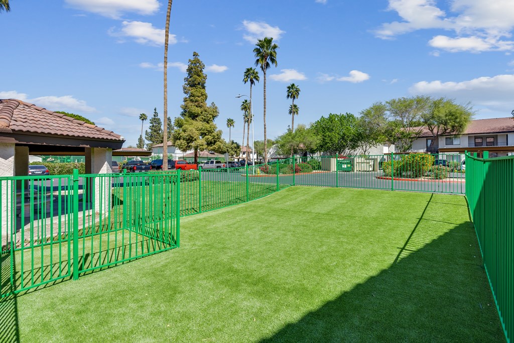 Dog Park at Solara, Phoenix