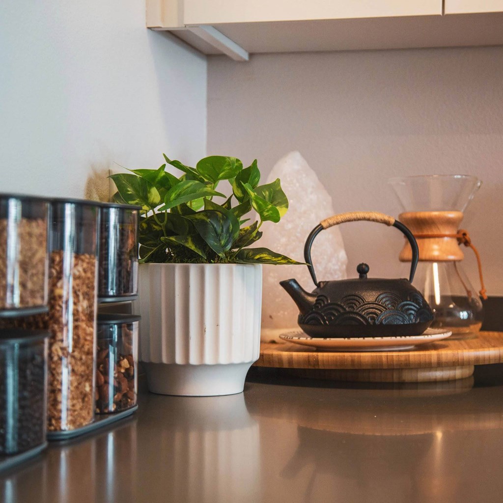 Classic kitchen equipments at Sora Apartments, Inglewood, California, 90302