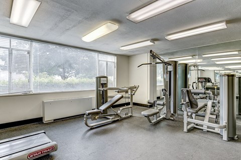 A gym with a variety of equipment including a treadmill, weights, and a bench press.