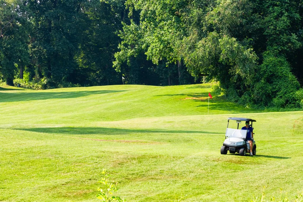 Golf Cart at The Vale at the Parks, Washington, 20012  