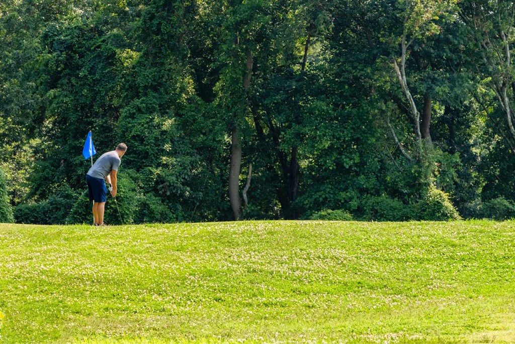 Golfer at The Vale at the Parks, Washington, DC 20012  