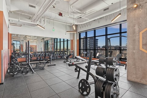 A gym with a variety of equipment including weights and benches.