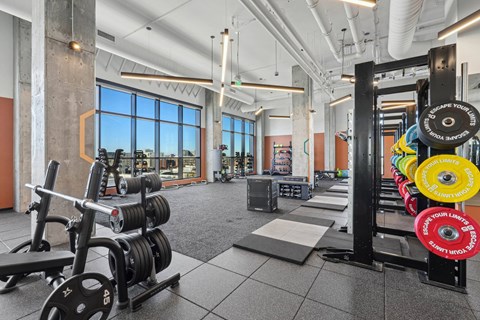 A gym with a variety of weightlifting equipment.