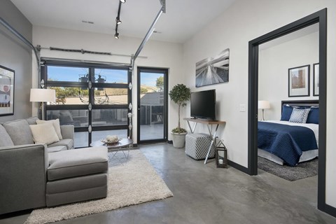 A modern living room with a grey sofa and a white rug.