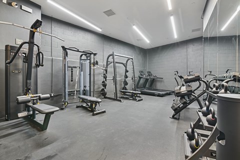 A gym with a variety of equipment including treadmills, weights, and benches.