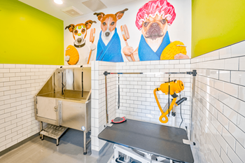 Pet Spa at Cambridge Apartments, North Carolina Property Image