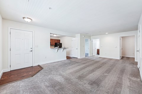 Living Space at The Reserve at Spring Pointe