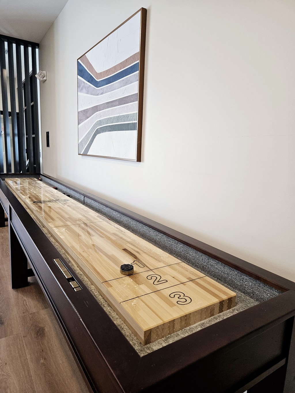 Shuffleboard at  at The Reserve at Iroquois
