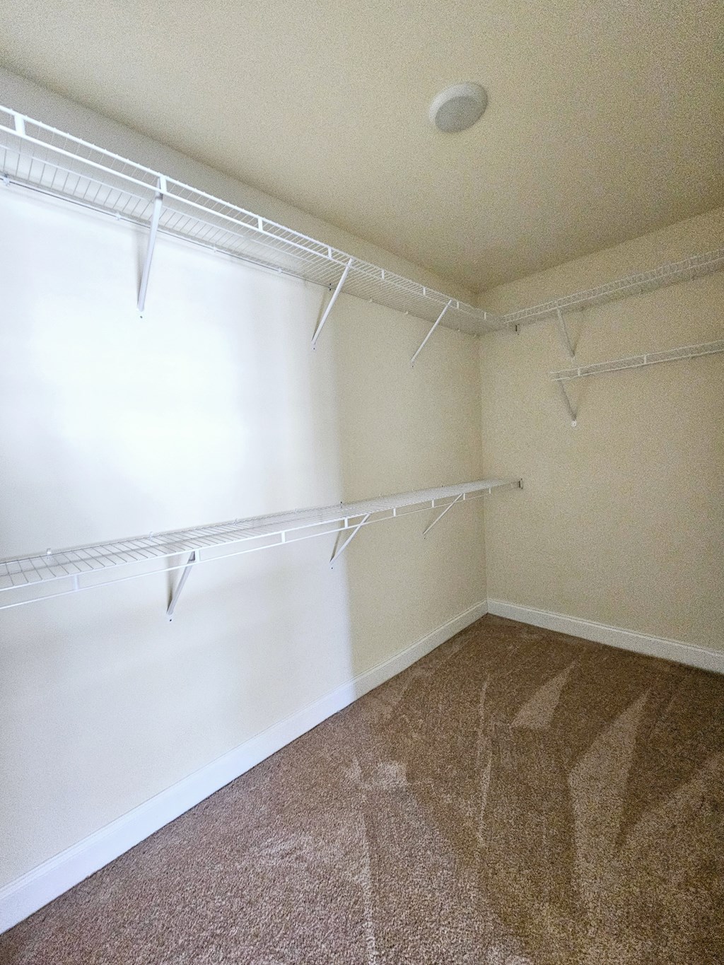 Walk-In Closet at The Reserve at Gring's Mill