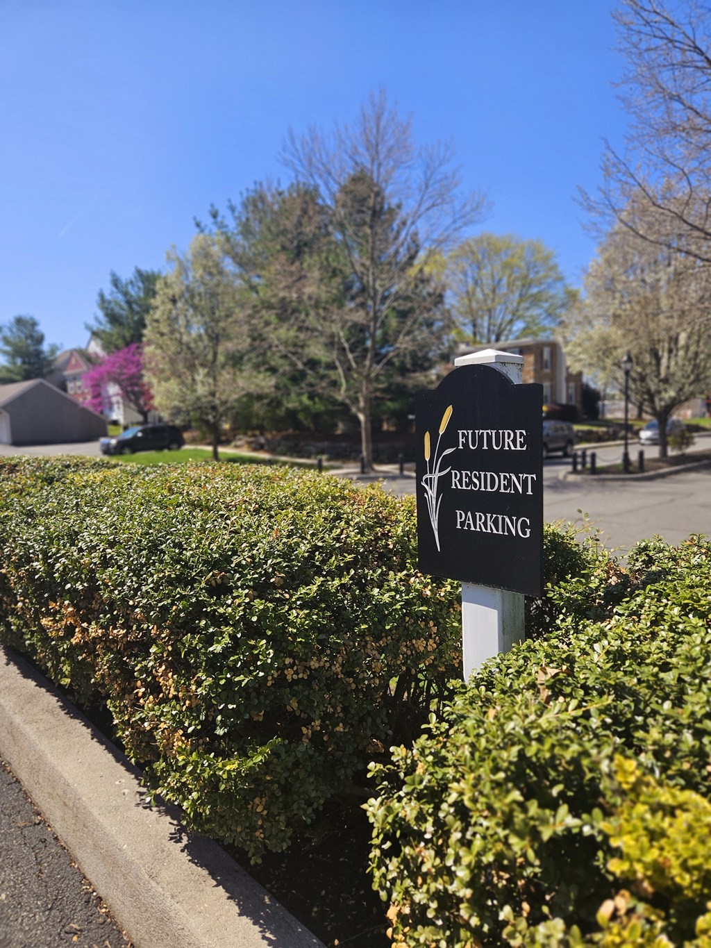Future Resident Parking at The Reserve at Reed Farm