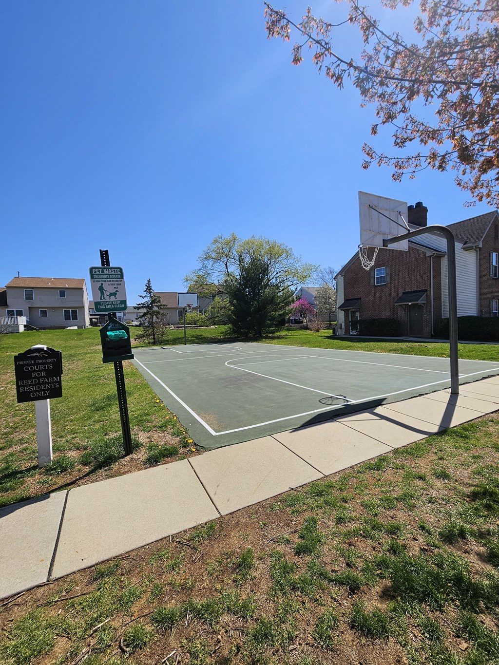 Basketball Court at The Reserve at Reed Farm
