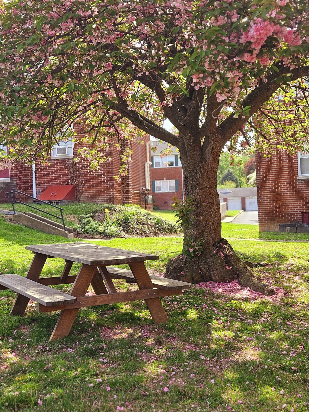 Picnic Benches at Wyomissing Garden Apartments