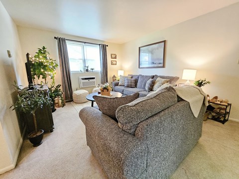 A living room with a grey couch and a green plant.