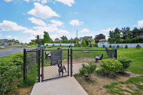 A dog is standing in front of a sign on a gate.