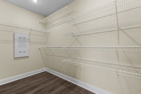 Empty walk-in closet with shelves and a door.
