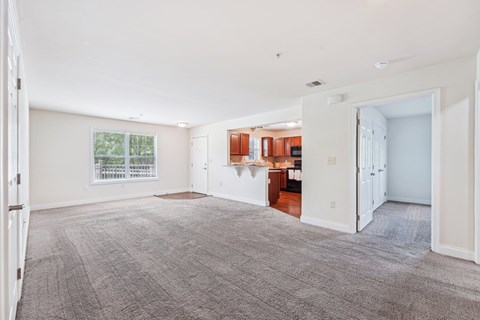 Living Space at The Reserve at Spring Pointe