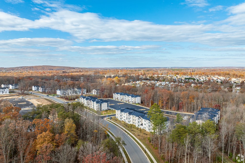 A road goes through a residential area with trees on both sides.