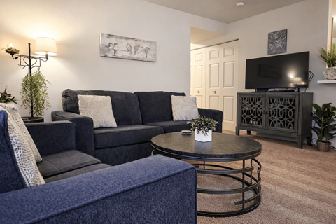 A living room with a grey couch and a blue ottoman.