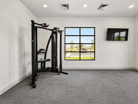 A room with a squat rack and a window.