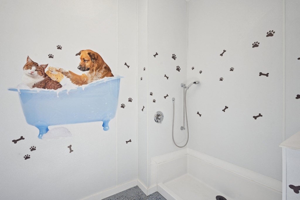 Pet Wash Station  at Reserve at Cranberry Springs