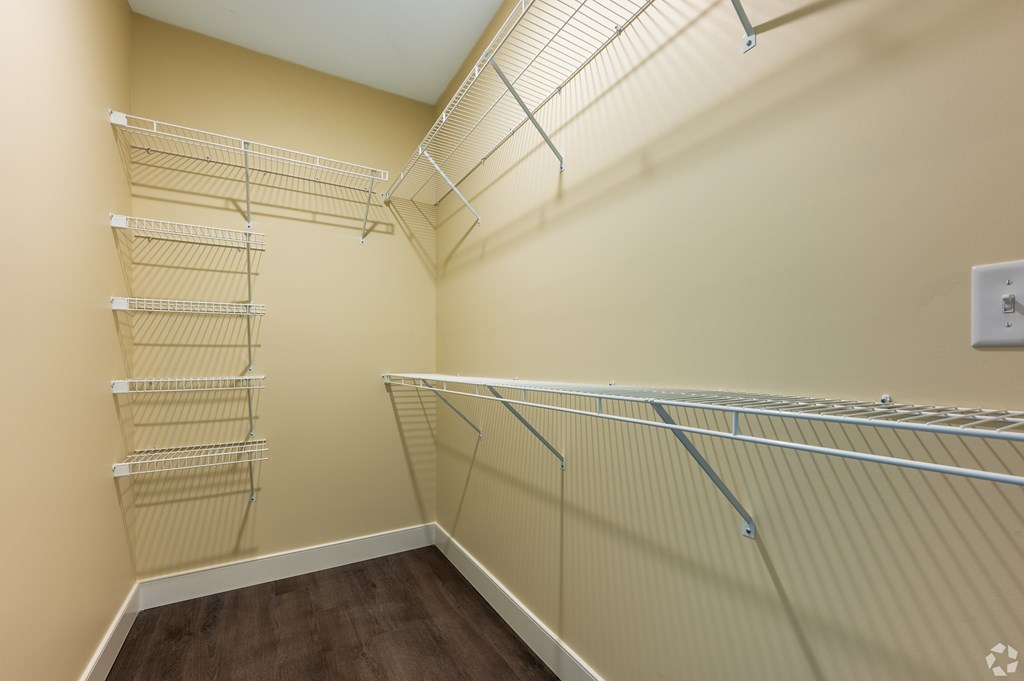 Walk-In Closet at Reserve at Cranberry Springs
