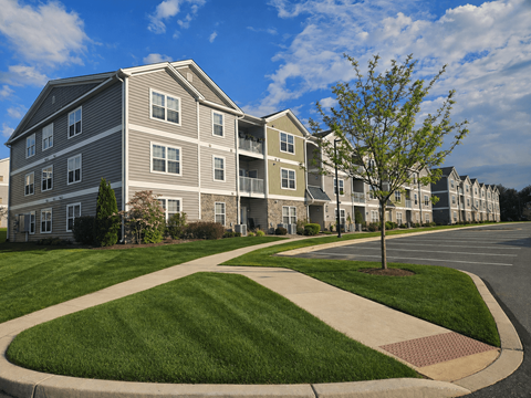A tree stands in a grassy circle in front of apartment buildings.
