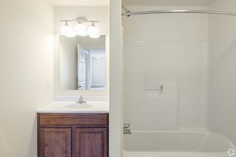 Bath & Sink at the Reserve at Paxton Creek