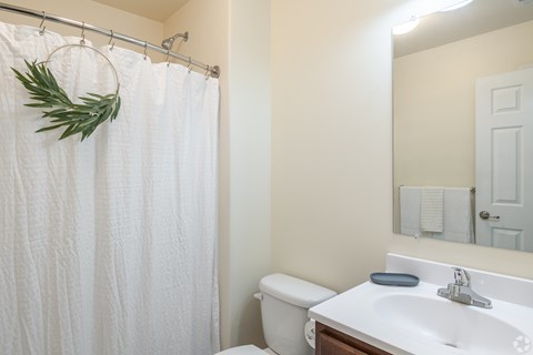 Bathroom at the Reserve at Paxton Creek