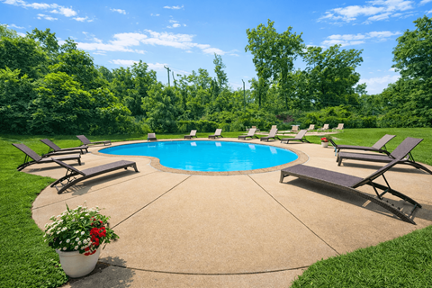 A round pool surrounded by lawn chairs and trees.