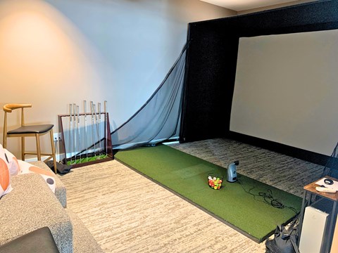 A home theater with a green carpet and a large screen.