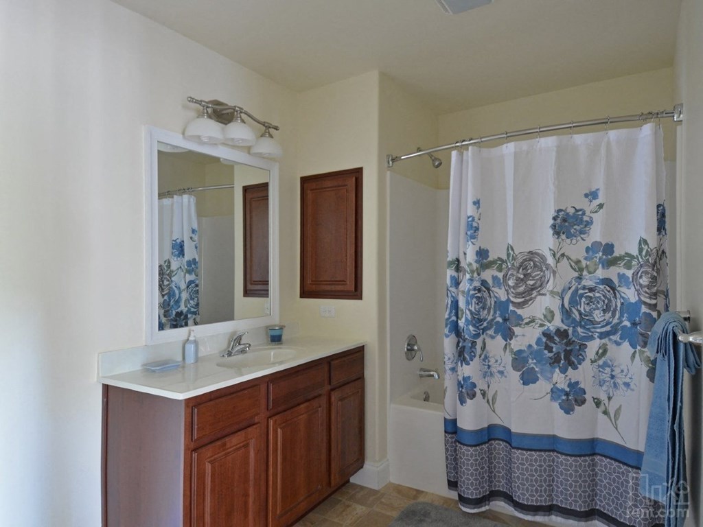 a bathroom with a shower curtain and a sink