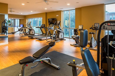 A gym with a variety of equipment including treadmills, stationary bikes, and weight machines.