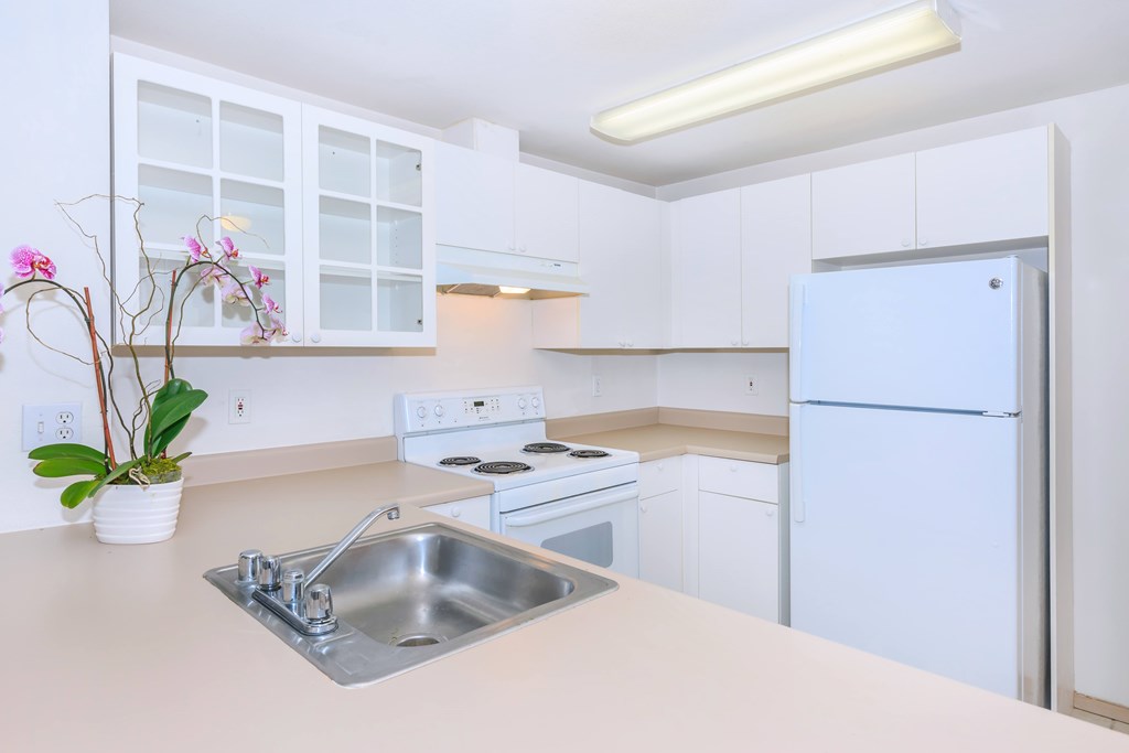 A kitchen with a white fridge, sink, and cabinets.