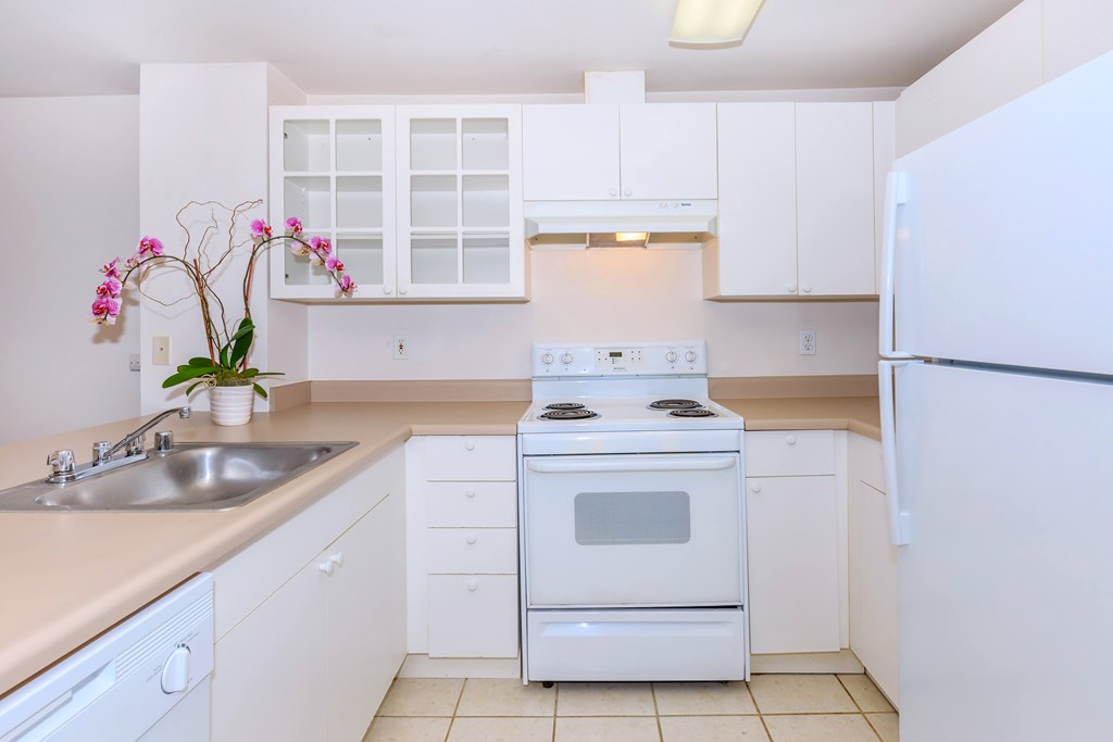 A white kitchen with a stove, sink, and cabinets.