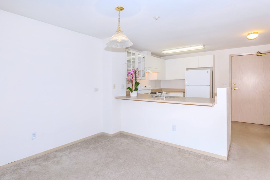 A room with a white wall and a brown door.