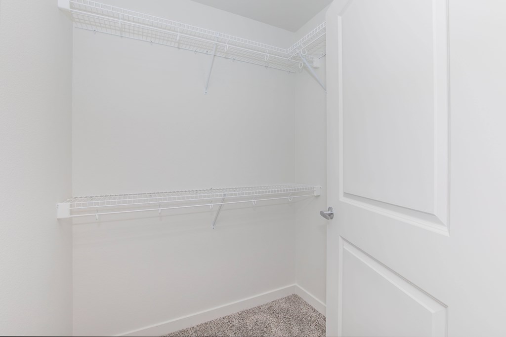 A white closet with a carpeted floor and a door.