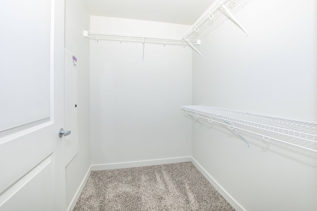 A white closet with a carpeted floor and a door.