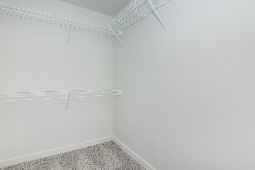 A white wall with a white shelf and a grey carpet.