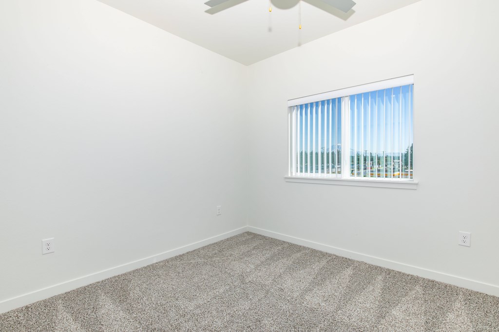 A room with a carpeted floor and a window with blinds.