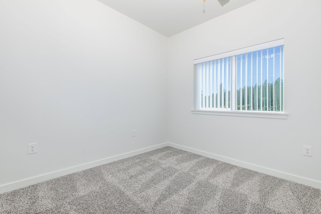 A room with a carpeted floor and a window with blinds.